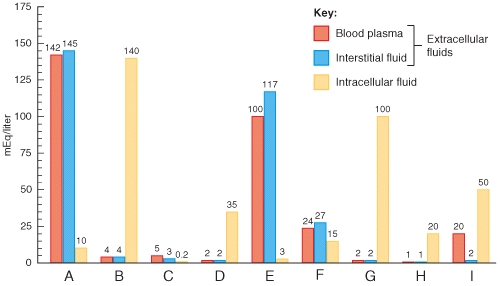 <strong>Which of the labeled sets of bars in the graph would best represent the concentration of potassium ions in the body fluids?  </strong> A)A B)B C)C D)D E)E <div style=padding-top: 35px> 
