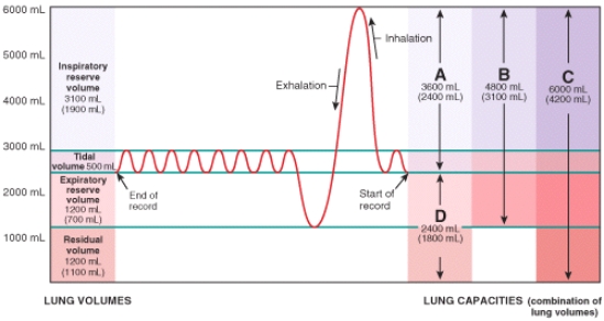 The amount of air that you can breathe out after a maximal inspiration, labeled B in the spirogram, is called the