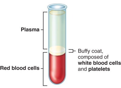 What percentage of a centrifuged sample of whole blood is occupied by red blood cells?  <div style=padding-top: 35px> 