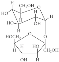 <strong>Choose the disaccharide from the compounds below.</strong> A) B) C) D) E)