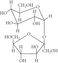 <strong>Choose the polysaccharide from the compounds below.</strong> A) B) C) D) E)