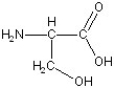 <strong>Match the following. </strong> A)aspartic acid B)lysine C)glycine D)phenylalanine E)serine F)alanine