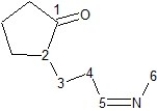 <strong>Identify hybridization of carbon atoms numbered 1-6 in the structure below:  </strong> A) Carbons 3, 4, and 6 are sp<sup>3</sup>, carbons 1, 2 and 5 are sp hybridized. B) Carbons 2, 3, and 4 are sp<sup>3</sup>, carbons 1, 5, and 6 are sp<sup>2</sup> hybridized. C) Carbons 2, 3, 4, and 6 are sp<sup>3</sup>, carbons 1 and 5 are sp<sup>2</sup> hybridized. D) Carbons 2, 3, 4, and 6 are sp<sup>3</sup>, carbons 1 and 5 are sp hybridized. E) Carbons 3, 4, and 6 are sp<sup>3</sup>, carbons 1, 2, and 5 are sp<sup>2</sup> hybridized. <div style=padding-top: 35px> 