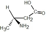 <strong>Determine the absolute configuration of the molecule shown below:  </strong> A) S configuration B) R configuration C) E configuration D) Z configuration E) l configuration <div style=padding-top: 35px> 
