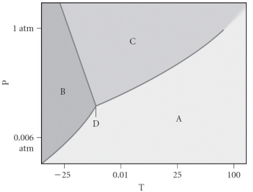 <strong>Assign the appropriate labels to the phase diagram shown below. </strong> A) A = liquid, B = solid, C = gas, D = critical point B) A = gas, B = solid, C = liquid, D = triple point C) A = gas, B = liquid, C = solid, D = critical point D) A = solid, B = gas, C = liquid, D = supercritical fluid E) A = liquid, B = gas, C = solid, D = triple point
