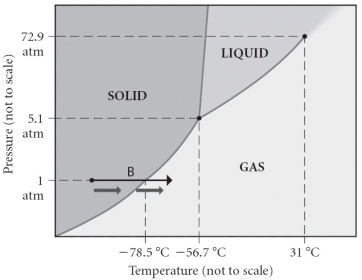 Consider the phase diagram shown. Choose the statement below that is TRUE.