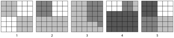 <strong> Figure 41.2 Examine Figure 41.2.Which block shows the greatest diversity?</strong> A)1 B)2 C)3 D)4 E)5