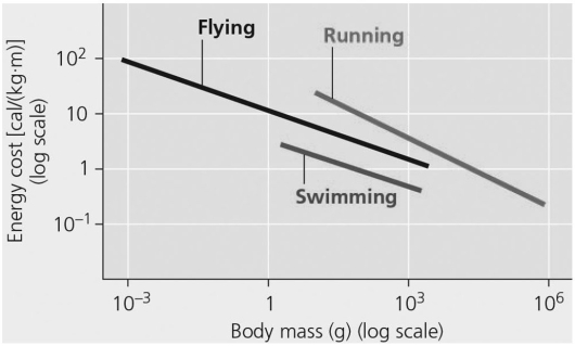   Figure 39.2 The most energetically efficient locomotion per unit mass is likely