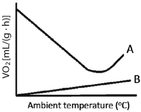 Researchers measure animals' oxygen consumption (VO<sub>2</sub>)as a way to quantify metabolic rate.A researcher measured the VO<sub>2</sub> for two animals,A and B,as function of ambient temperature and collected the data shown in the figure.One of the animals was an ectotherm,and one was an endotherm.Based on these data,which animal was the endotherm,and why?  