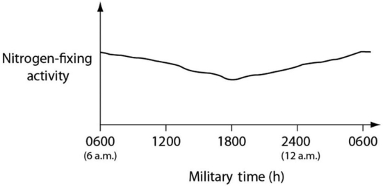 <strong>Data were collected from the heterocysts of a nitrogen-fixing cyanobacterium inhabiting equatorial ponds.Study the following figure,and choose the most likely explanation for the shape of the curve. Figure 24.3</strong> A)Enough O<sub>2</sub> enters heterocysts during hours of peak photosynthesis to have a somewhat inhibitory effect on nitrogen fixation. B)Light-dependent reaction rates must be highest between 1800 hours and 0600 hours. C)Atmospheric N<sub>2</sub> levels increase at night because plants are no longer metabolizing this gas,so they are not absorbing this gas through their stomata. D)Heterocyst walls become less permeable to N<sub>2</sub> influx during darkness.