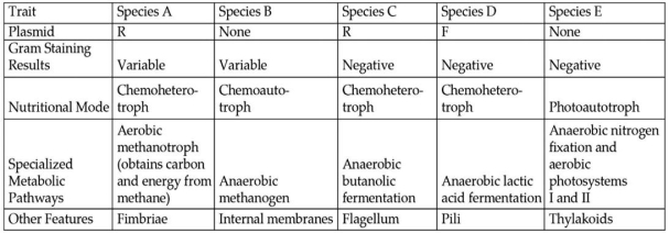 <strong>The table depicts characteristics of five prokaryotic species (A-E).Use the information in the table to answer the following question(s). Table 24.1 Which species in Table 24.1 is most self-sustaining in terms of obtaining nutrition in environments containing little fixed nitrogen or carbon?</strong> A)species A B)species B C)species C D)species D E)species E
