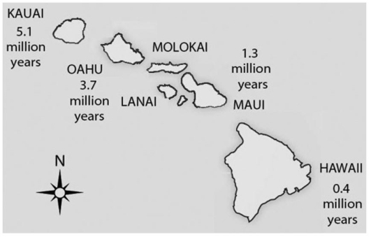 <strong> Figure 23.3 Hawaii is the most southeastern of the seven islands and is also closest to the seafloor spreading center from which the Pacific plate originates,which lies about 5,600 km farther to the southeast.Assuming equal sedimentation rates,what should be the location of the thickest sediment layer and,thus,the area with the greatest diversity of fossils above the oceanic crust?</strong> A)between the island of Hawaii and the seafloor spreading center B)around the base of the island of Hawaii C)around the base of Kauai,the oldest of the Hawaiian Islands D)where the islands are most concentrated (highest number of islands per unit surface area)