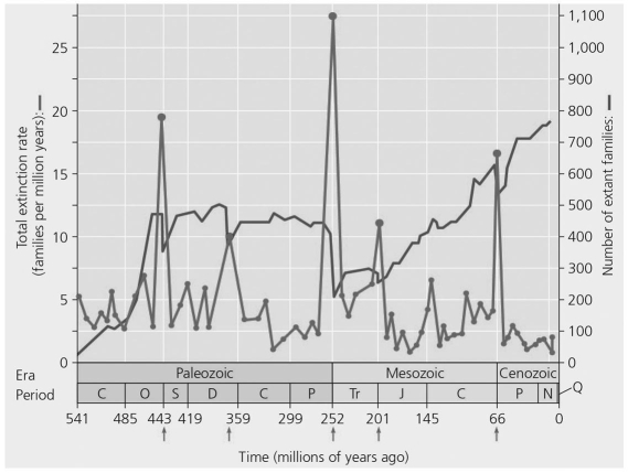 <strong> Which period had the greatest rate of extinction?</strong> A)Permian B)Cretaceous C)Devonian D)Cambrian