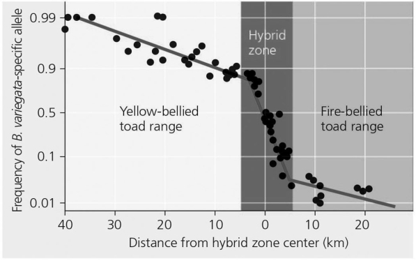 <strong> Figure 22.6 A hybrid zone is indicated by plotting the frequency of the yellow-belly allele across the distance from the center of the hybrid zone.What is the gene frequency of the fire-bellied toad 20 km from the hybrid zone center?</strong> A)1 B)0 C)0)1 D)10