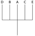 <strong>This question refers to Table 20.1,which compares the % sequence homology of four different parts (two introns and two exons)of a gene found in five different eukaryotic species.Each part is numbered to indicate its distance from the promoter (for example,intron I is the one closest to the promoter).The data reported for species A were obtained by comparing DNA from one member of species A to the DNA of another member of species A. Table 20.1 Based on the tabular data,and assuming that time advances vertically,which cladogram (a type of phylogenetic tree)is the most likely depiction of the evolutionary relationships among these five species?</strong> A) B) C) D)