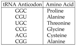 A part of an mRNA molecule with the following sequence is being read by a ribosome: 5'-CCG-ACG-3' (mRNA).The charged transfer RNA molecules shown in the figure below (with their anticodons shown in the 3' to 5' direction)are available.Two of them can correctly match the mRNA so that a dipeptide can form. The dipeptide that will form will be