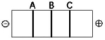 <strong> The segment of DNA shown in the figure above has restriction sites I and II,which create restriction fragments A,B,and C.Which of the gels produced by electrophoresis shown below best represents the separation and identity of these fragments?</strong> A) B) C) D)