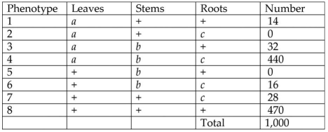 A plantlike organism on the planet Pandora can have three recessive genetic traits: bluish leaves,due to an allele (a)of gene A;a feathered stem,due to an allele (b)of gene B;and hollow roots,due to an allele (c)of gene C.The three genes are linked and recombine. A geneticist did a testcross with an organism that had been found to be heterozygous for the three recessive traits and was able to identify progeny of the phenotypic distribution (+ = wild type)shown in the figure below.   In which progeny phenotypes has there been recombination between genes A and B? The parent phenotypes are 4 and 8.