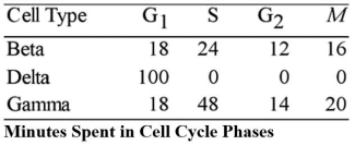 <strong> The data in the table above were obtained from a study of the length of time spent in each phase of the cell cycle by cells of three eukaryotic organisms designated beta,delta,and gamma.The best conclusion concerning delta is that the cells</strong> A)contain no DNA. B)contain only one chromosome that is very small. C)are actually in the G<sub>0</sub> phase. D)synthesize DNA in the G<sub>1</sub> phase