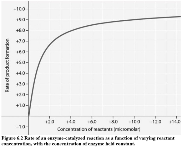 <strong> In Figure 6.2,why does the reaction rate plateau at higher reactant concentrations?</strong> A)Feedback inhibition by the product occurs at high reactant concentrations. B)Most enzyme molecules are occupied by substrate at high reactant concentrations. C)The reaction nears equilibrium at high reactant concentrations. D)The activation energy for the reaction increases with reactant concentration.