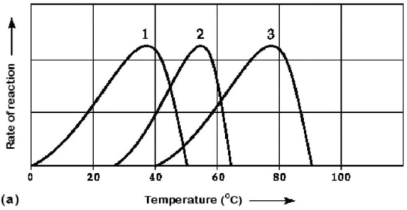 Figure 6.3 Activity of various enzymes (a)at various temperatures and (b)at various pH. -Which temperature and pH profile curves on the graphs in Figure 6.3 were most likely generated from analysis of an enzyme from a human stomach,where conditions are strongly acidic?