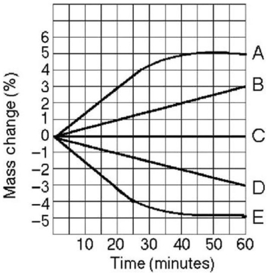 Figure 5.4 -Five dialysis bags,constructed from a semipermeable membrane that is impermeable to sucrose,were filled with various concentrations of sucrose and then placed in separate beakers containing an initial concentration of 0.6 M sucrose solution.At 10-minute intervals,the bags were massed (weighed),and the percent change in mass of each bag was graphed.Figure 5.4 illustrates the change in the mass of the bags over time.Which line or lines in the graph in the figure represent(s)bags that contain a solution that is hypertonic at 50 minutes?