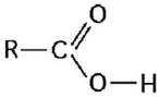 Figure 3.2 What is the name of the functional group shown in Figure 3.2?