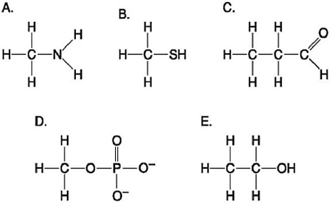 Figure 3.6 -Which molecule shown in Figure 3.6 can function as a base?