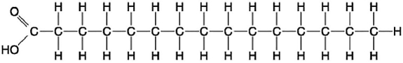 Figure 3.8 -Which of the following statements regarding the molecule illustrated in Figure 3.8 is true?