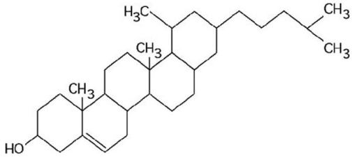   Figure 3.10 What is the structure shown in Figure 3.10?