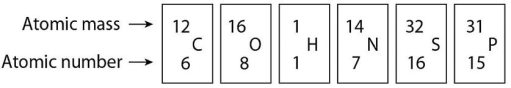   Figure 2.4 -Based on electron configurations,which of the elements in Figure 2.4 would exhibit a chemical behavior most like that of oxygen?