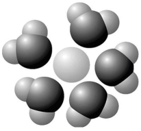 Figure 2.7 Based on your knowledge of the polarity of water molecules,the solute molecule depicted in Figure 2.7 is most likely