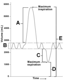 <strong>  The residual volume is represented by the _______ on the figure.</strong> A)letter A B)letter B C)letter C D)letter D E)letter E <div style=padding-top: 35px> 