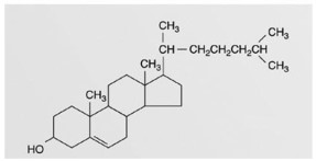 <strong> This figure represents an example of a(n)</strong> A)steroid. B)triglyceride. C)phospholipids. D)wax. E)fatty acid.