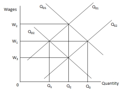 <strong>In the following graph, Q<sub>S1</sub> and Q<sub>S2 </sub>are the supply curves for labour and Q<sub>D1</sub> and Q<sub>D2</sub> are the demand curves for labour. Refer to the graph to answer the question. When Q<sub>S1</sub> shifts to Q<sub>S2</sub> and Q<sub>D1</sub> shifts to Q<sub>D2</sub>, _____.</strong> A) the supply of labour exceeds the demand for labour B) the demand for labour exceeds the supply of labour C) the quantity of labour demanded falls D) the equilibrium quantity of labour remains constant