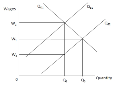 <strong>In the following graph, Q<sub>S1</sub> and Q<sub>S2</sub> are the supply curves for labour and Q<sub>D1</sub> is the demand curve for labour. Refer to the graph to answer the question. When Q<sub>S1</sub> shifts to Q<sub>S2</sub>, _____.</strong> A) the equilibrium quantity and wage level remain unchanged B) the equilibrium quantity of labour increases C) the wage level rises to W<sub>3</sub> D) the demand for labour exceeds the supply of labour