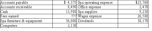 The assets and liabilities of Rocky's Day Spa at December 31 and expenses for the year are listed below. The stockholders' equity was $68,000 ($48,000 in Common Stock and $20,000 in Retained Earnings) at January 1. The shareholders invested in an additional $10,000 of common stock during the year. Net income for the year is $45,625. Prepare an income statement for Rocky's Day Spa for the current year ended December 31.