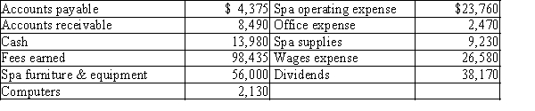 The assets and liabilities of Rocky's Day Spa at December 31 and expenses for the year are listed below. The stockholders' equity was $68,000 ($48,000 in Common Stock and $20,000 in Retained Earnings) at January 1. The shareholders invested in an additional $10,000 of common stock during the year. Net income for the year is $45,625. Prepare a statement of stockholder's equity for Rocky's Day Spa for the current year ended December 31.