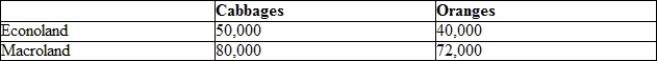 (Table: Econoland and Macroland Annual Production Capacity in Tons) Based on the table, which statement correctly identifies the situation described therein?