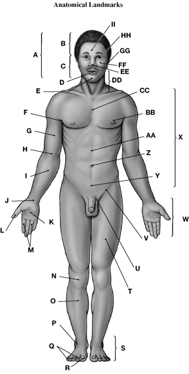 Using the figure above, identify the labeled part. Label E: ________