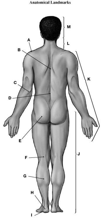 Using the figure above, identify the labeled part. -Label G: ________