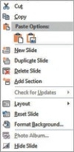 <strong> The object shown in the figure above is a ________.</strong> A) gallery B) contextual tab C) shortcut menu D) Quick Access Toolbar