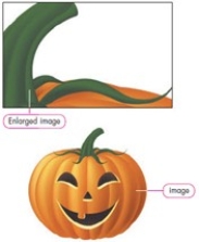 <strong> Based on the original image and its enlargement shown in the figure above, this is a(n)________ image.</strong> A)bitmap B)vector graphic C)absolute D)rendered