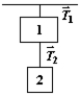 Exhibit 5-2 A 4.00 kg block is suspended from the roof of an elevator. A 2.00 kg block is suspended from the 4.00 kg block. The tensions in strings 1 and 2 are labeled and . Use this exhibit to answer the following question(s). -Refer to Exhibit 5-2. When the elevator accelerates upwards with an acceleration of 2.20 m/s<sup>2</sup>, the magnitudes of and are