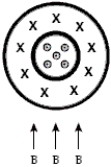 <strong>A coaxial cable has an inner cylindrical conductor surrounded by cylindrical insulation and an outer cylindrical conducting shell. The outer shell carries the same current but in the opposite direction from that in the inner conductor as shown. If the coaxial cable sits in a uniform magnetic field directed upwards with respect to the cable, the effect of the field on the cable is  </strong> A) a net force to the left. B) a net force to the right. C) a net force upwards. D) no net force but a slight shift of the inner conductor to the left and the outer conductor to the right. E) no net force but a slight shift of the inner conductor to the right and the outer conductor to the left. <div style=padding-top: 35px> 