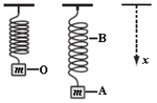 <strong>A weight of mass m is at rest at O when suspended from a spring, as shown. When it is pulled down and released, it oscillates between positions A and B. Which statement about the system consisting of the spring and the mass is correct? </strong> A) The gravitational potential energy of the system is greatest at A. B) The elastic potential energy of the system is greatest at O. C) The rate of change of momentum has its greatest magnitude at A and B. D) The rate of change of gravitational potential energy is smallest at O. E) The rate of change of gravitational potential energy has its greatest magnitude at A and B.