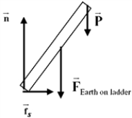 <strong>Sebastian has drawn a free-body diagram for a ladder of mass m leaning against a frictionless wall. His diagram is shown below. What is his error? </strong> A) is in the wrong direction. B) should be directed upwards, not down. C) should be perpendicular to the wall, not parallel to it. D) should be down into the floor for to have the given direction. E) is correct, but there should also be a force perpendicular to the wall.