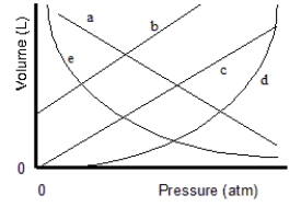 <strong>Which of the lines on the figure below is the best representation of the relationship between the volume of a gas and its pressure, other factors remaining constant? </strong> A)a B)b C)c D)d E)e