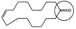 <strong>One source of a musky odor in perfumes is civetone, a compound extracted from the scent gland of the civet cat. Identify the functional group circled. </strong> A)Aldehyde B)Ketone C)Alcohol D)Carboxylic acid E)Oxide
