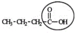 <strong>The compound shown below is responsible for the odor in rancid butter. Identify the functional group circled. </strong> A)Aldehyde B)Ketone C)Alcohol D)Carboxylic acid E)Carbonyl